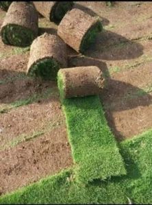 Artificial Grass Carpet