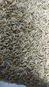 Cumin Seeds