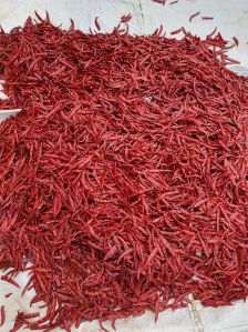 Dried Red Chili