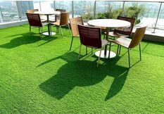 Artificial Grass