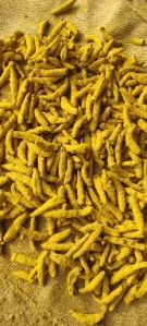 Yellow Turmeric Finger