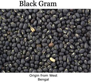 Black Gram ( Mashkolai Daal)