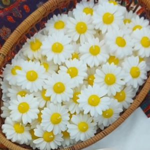 8 pcs scented daisy flower soya wax floating candles