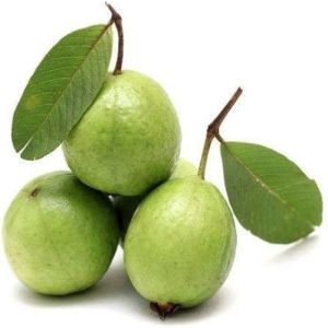 Fresh Sweet Guava