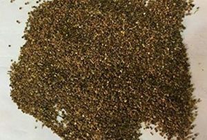Amarbel Seeds