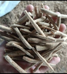 Ashwagandha Roots