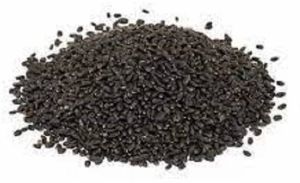 Black Tulsi Seeds