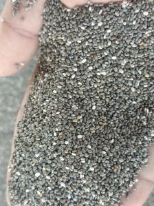 chia seeds