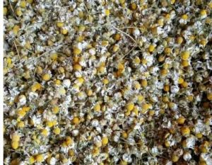 Dried Chamomile flowers