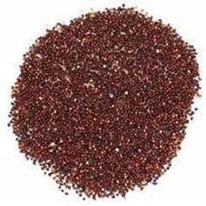 Red Tulsi Seeds