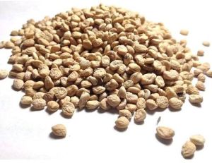 sarpagandha seeds