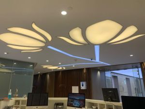 Large Translucent Stretch Ceilings