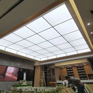 Large Translucent Stretch Ceilings