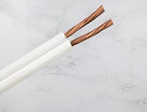 Parallel Wire