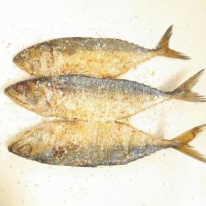 Dry Mackerel Fish