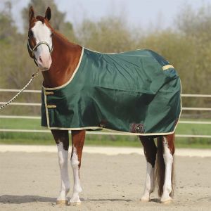 horse sheets