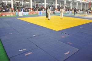 Judo Mat