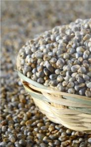 Natural organic Bajra Seed