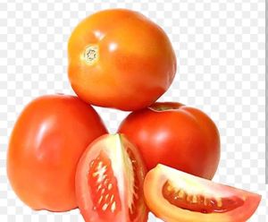 Tomato