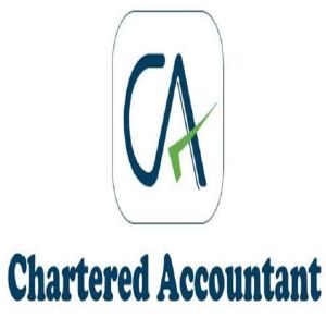 Chartered Accountant Service