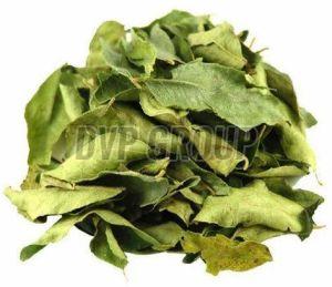 Dry Curry Leaves