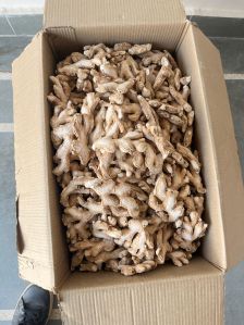 Dried Ginger