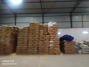 Indian Organic Wheat Grain