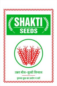 Certified Wheat Grain
