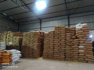 Certified Wheat Grain