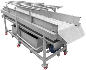 Continuous Type Vegetable Brush Washer
