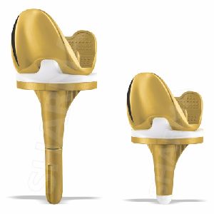 knee prosthesis