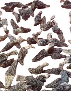 dried gucchi mushroom