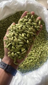 Green Cardamom