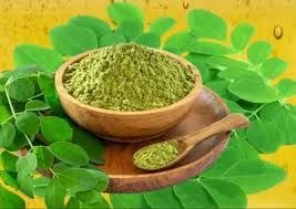 Moringa Leaves Powder
