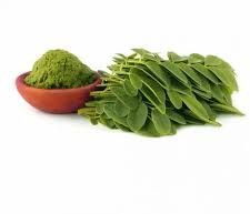 Moringa Leaves Powder