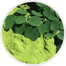 Moringa Products