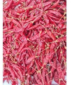 Teja S10 Dry Red Chilli