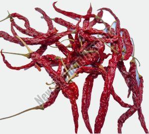 Syngenta 5531 Dry red chilli