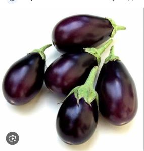 Fresh Brinjal