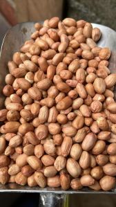 Groundnut