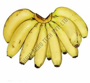 A Grade Yellow Ripe Banana