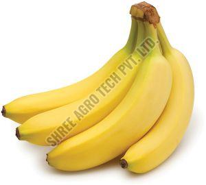 Fresh Cavendish Banana