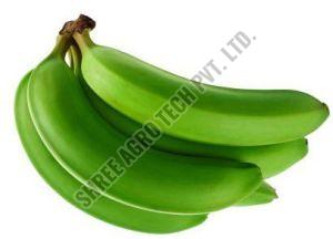 Fresh Raw Banana