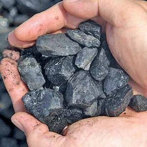 ECL Steam Coal