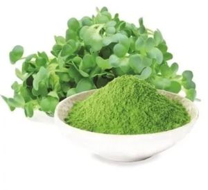 Alfalfa Leaf Powder