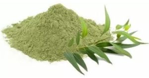 eucalyptus leaves powder