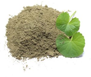 Gotu kola powder