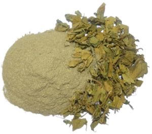 Gudmar Leaf Powder