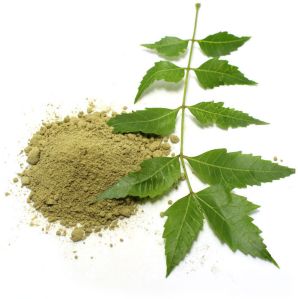 Neem Powder