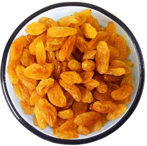 golden dried raisin